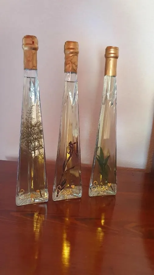 Kuca Za Odmor Silba Διαμέρισμα